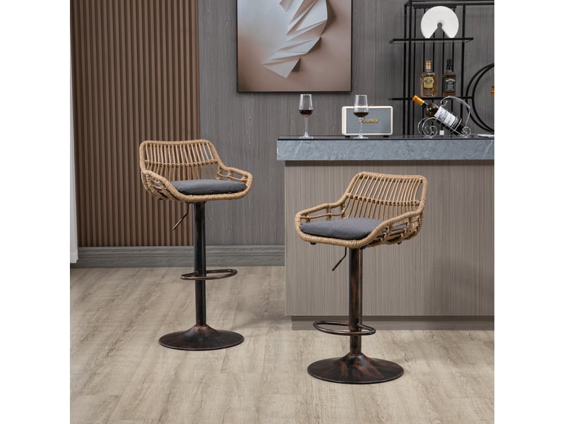  Lot de 2 chaises 49 x 48 x 89-109 cm, assise en lin, gris, rotin pe et base métallique, design rétro, robuste et confortable  - Conforama B