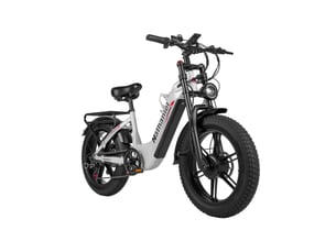 Vélo électrique double moteur nathaniel syr08, fat bike 20, blanc