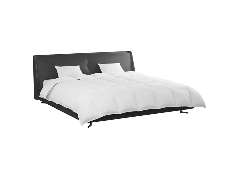 Ensemble de duvet avec oreiller 3 pièces - couette blanc plume de canard - Conforama C