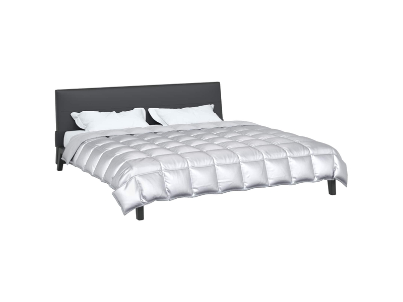  Duvet d'hiver - couette 240 x 260 cm 450 gm² argenté  - Conforama C
