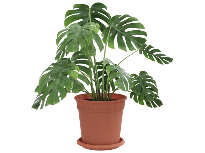  Jardinière - pots de plantes 24 pcs rouge brique plastique  - Conforama C