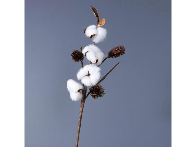 Fleurs artificielles en tiges de coton séché naturel loviver pour bricolage et jardinage-4 head  - Conforama B