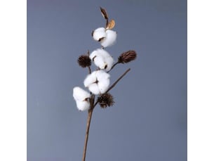 Fleurs artificielles en tiges de coton séché naturel loviver pour bricolage et jardinage-4 head