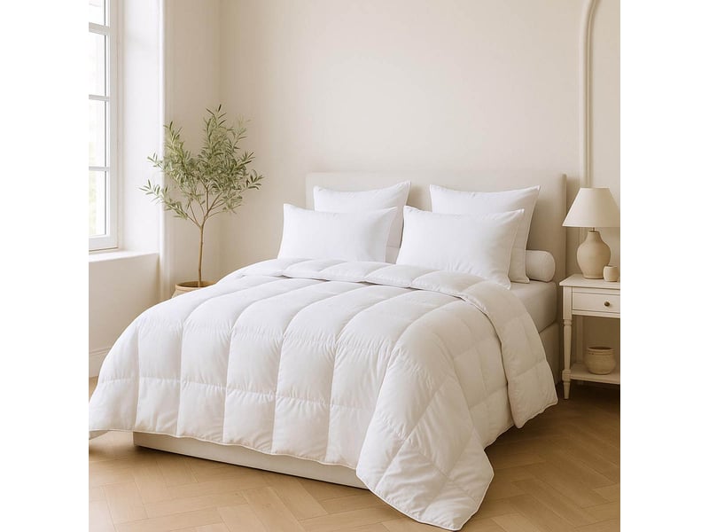Dunlopillo - couette 220x240 attraction - légère  - Conforama B