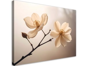 Tabelau sur toile, magnolias sur une branche dans des tons beiges chauds 30x20