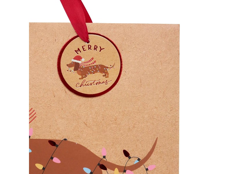  Sac cadeau chien mm  - Conforama B