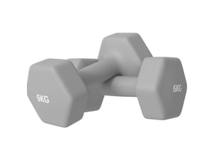 Set de 2 haltères hexagonaux 6 kg 22x10x10 cm – gris – revêtement plastique et prise antidérapante