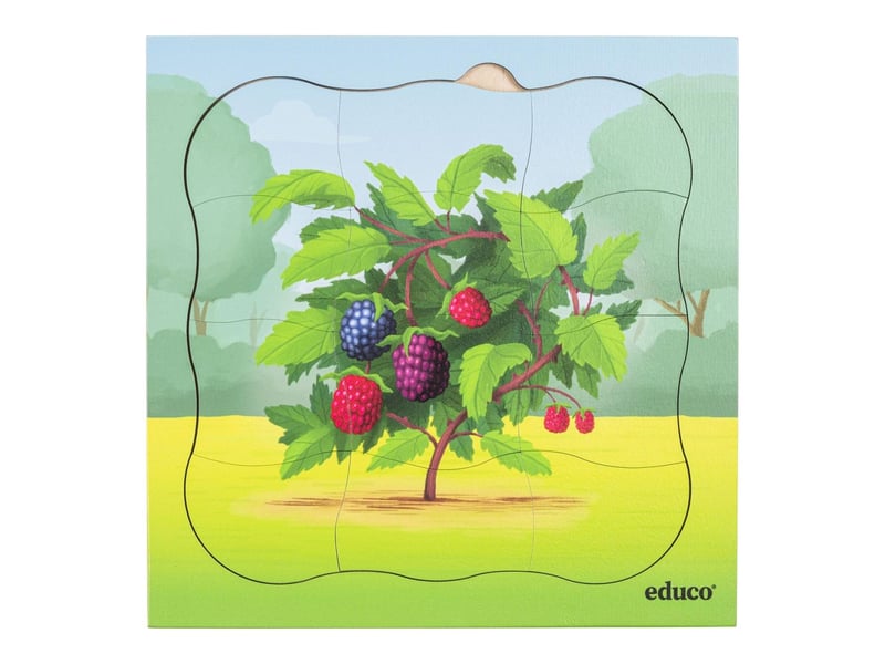  Educo dans la forêt - lot combiné  5 puzzles 8719924065201 - Conforama D