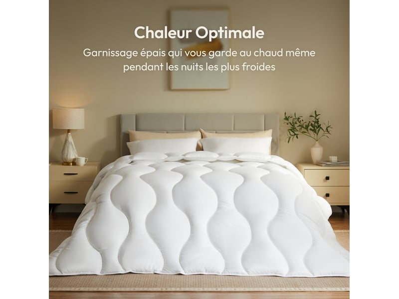  Casabel couette hiver grand froid, garnissage 700gm², ultra chaude, microfibre douce et respirante, 140x200cm, blanc Grand Froid Nuage Blanc - Conforama D