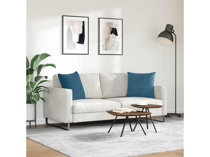 Lot de 2 coussins de canapé, coussins décoratifs bleu 50 x 50 cm cf59003 - Conforama D