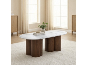 Table basse  coloris blanc MOBILIER DECO 