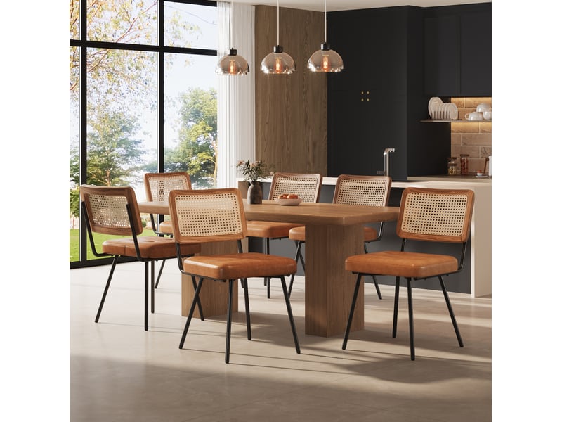 Lot de 6 chaises, dossier rotin pe, pieds fer réglables, design élégant, polyuréthane + acier, marron - Conforama B