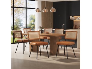 Lot de 6 chaises, dossier rotin pe, pieds fer réglables, design élégant, polyuréthane + acier, marron