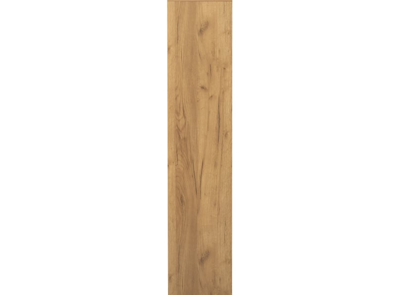  Vitrine haute de rangement 95 x 35 x 160 cm – chêne clair et noir – led réglable et portes soft-close  - Conforama E