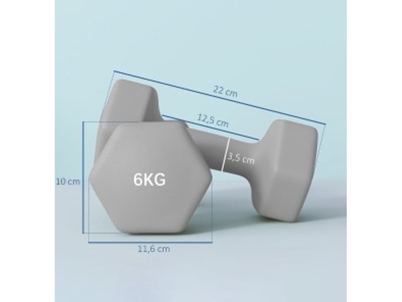  Lot de 2 haltères hexagonales 6 kg gris, 22 x 10 x 10 cm, métal avec revêtement plastique antidérapant  - Conforama B