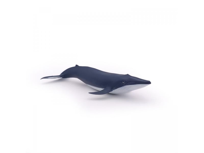  56041 figurine bebe baleine bleue 56041 - Conforama B