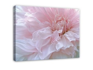 Tableau décoration murale impression sur toile fleurs nature rose - 60x40 cm - tableau décoration murale chambre et salon