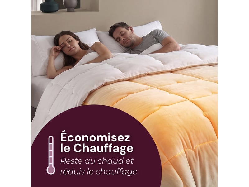  Flandria couette douce réversible polaire, chaude et moelleuse, garnissage 350gsm, 240x260cm, taupe et microfibre blanche  - Conforama D