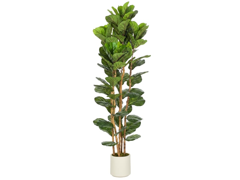  Plante artificielle intérieure 180 cm figuier lyre arbre artificiel avec pot en plastique et tronc en bois massif, vert  - Conforama B