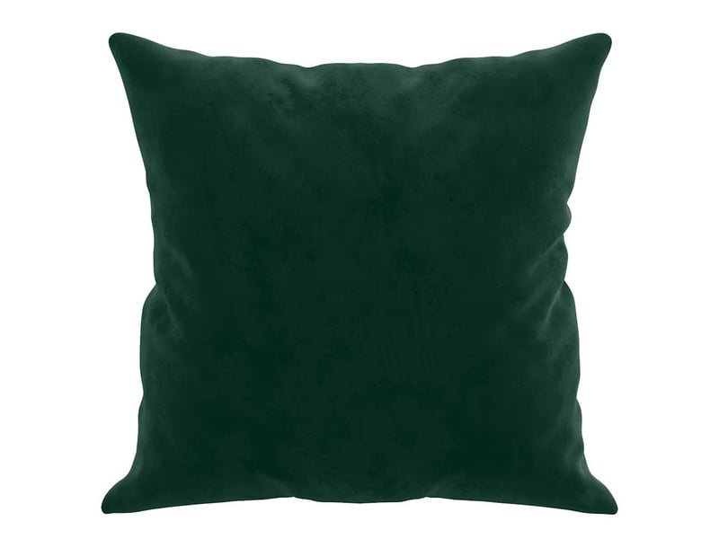 Lot de 2 coussins décoratifs vert foncé 40x40 cm velours cf60893  - Conforama D