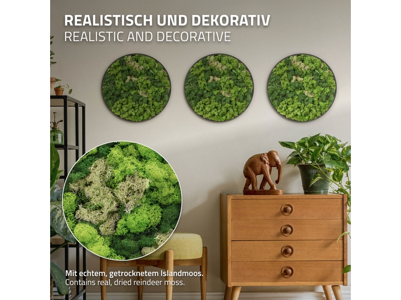 Ecd germany tableau en mousse de renne stabilisée véritable, forme ronde ø 40 cm, vert, décoration murale végétale d'intérieur, cadre en mdf, sans arrosage ni entretien, effet 3d, pièce unique ECD Germany GmbH - Conforama C