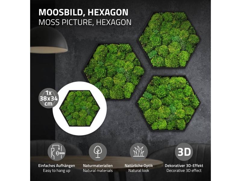  Ecd germany tableau en mousse boule stabilisée véritable, forme hexagonale 38 x 34 cm, vert, décoration murale végétale d'intérieur, cadre en bois, sans arrosage ni entretien, effet 3d, pièce unique ECD Germany GmbH - Conforama B