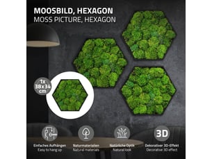 Ecd germany tableau en mousse boule stabilisée véritable, forme hexagonale 38 x 34 cm, vert, décoration murale végétale d'intérieur, cadre en bois, sans arrosage ni entretien, effet 3d, pièce unique
