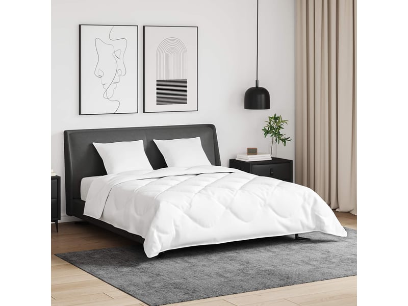  Ensemble de duvet avec oreiller 3 pcs - couette blanc plume de canard  - Conforama B