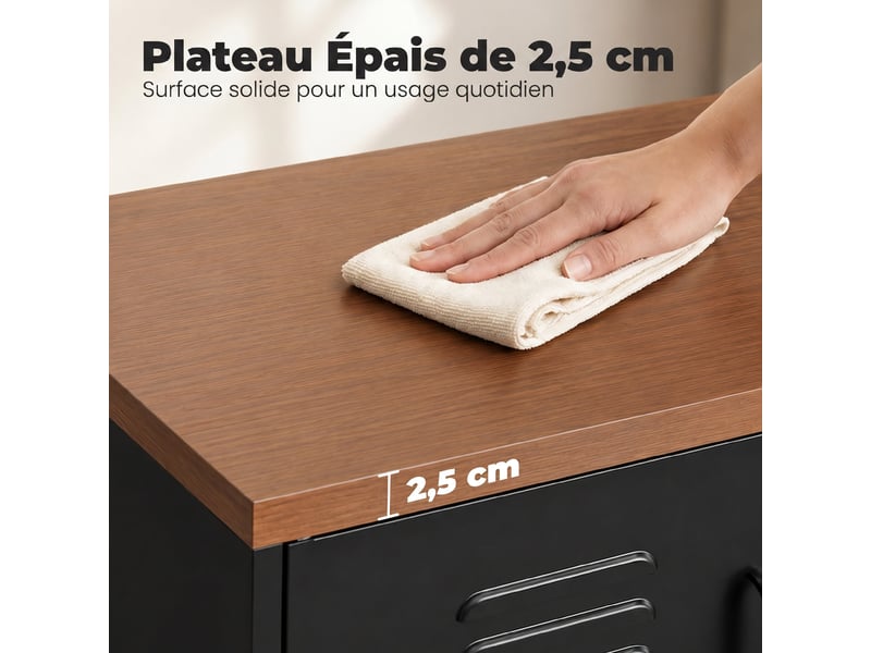  Buffet salon métallique, meuble de rangement industriel avec 2 portes et étagère réglable, noir, 80 x 40 x 80 cm  - Conforama E