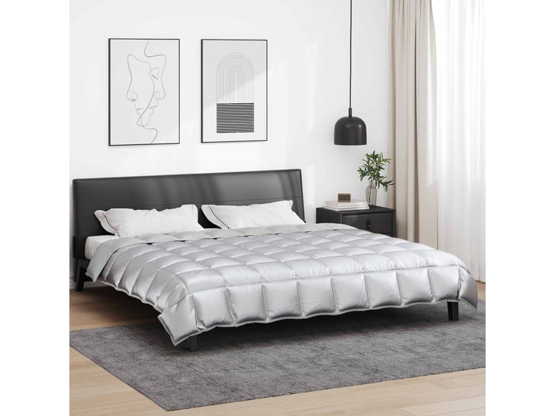  Duvet d'hiver - couette 200 x 200 cm 450 gm² argenté  - Conforama B