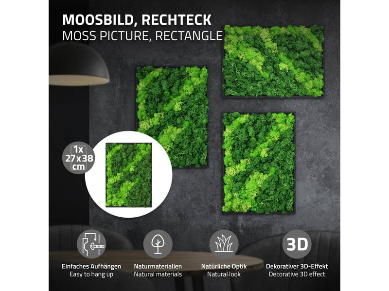  Ecd germany tableau en mousse de renne stabilisée véritable, rectangulaire, 38x27 cm, vert, décoration murale végétale d'intérieur, cadre en bois, sans arrosage ni entretien, effet 3d, pièce unique ECD Germany GmbH - Conforama B