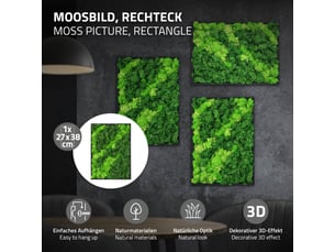 Ecd germany tableau en mousse de renne stabilisée véritable, rectangulaire, 38x27 cm, vert, décoration murale végétale d'intérieur, cadre en bois, sans arrosage ni entretien, effet 3d, pièce unique