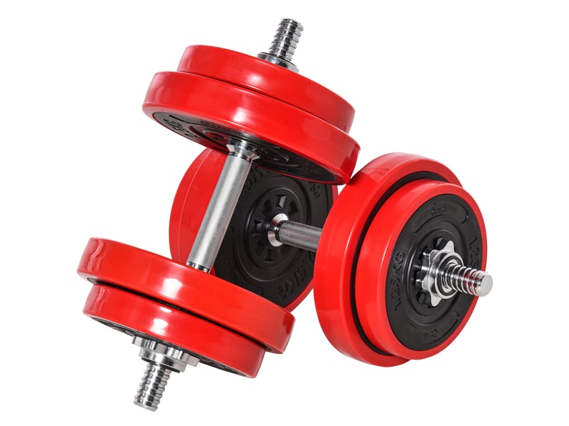 Ensemble d'haltères de 20 kg, haltères et barres réglables 2 en 1, musculation pour la remise en forme à domicile, renforcement musculaire, rouge et noir, 21,5 x 21,5 x 3,8 cm - Conforama A