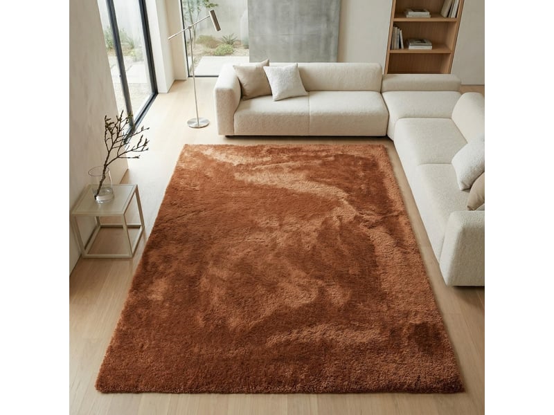 Tapis à poils longs extra-doux marron 160x230