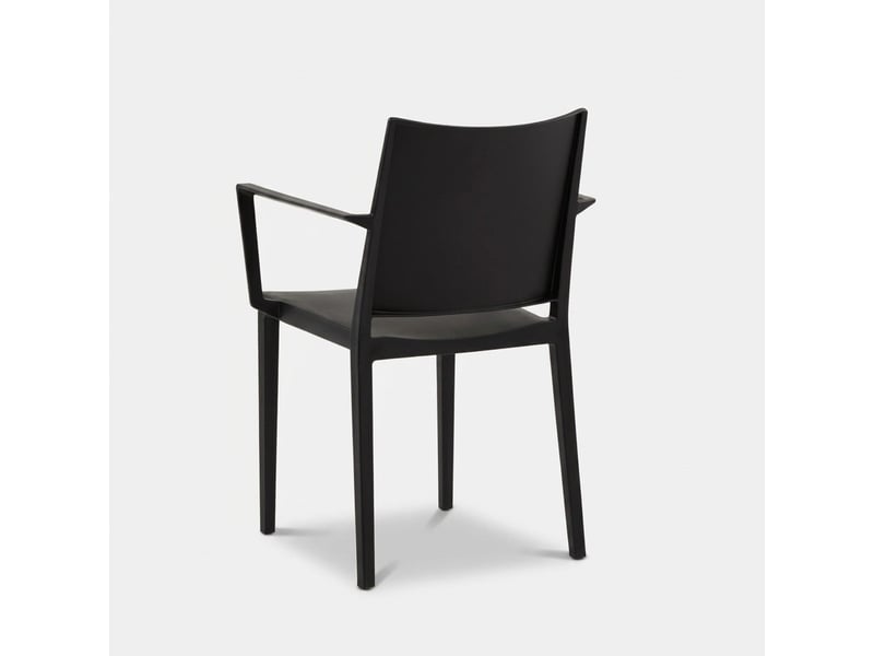  Lot de 2 chaises avec accoudoirs intérieur et extérieur vigo - noir  - Conforama E