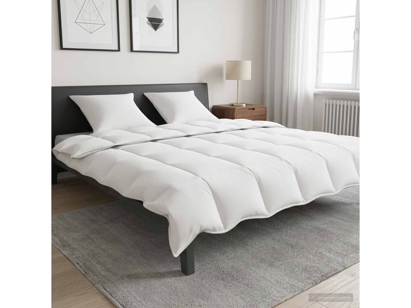 Ensemble de duvet 2 pcs - couette 200 x 240 cm été 150 gsm fibre de bambou - Conforama B