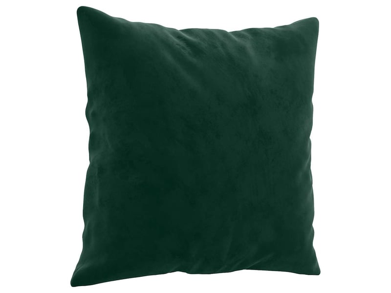  Lot de 2 coussins décoratifs vert foncé 40x40 cm velours cf60893  - Conforama C