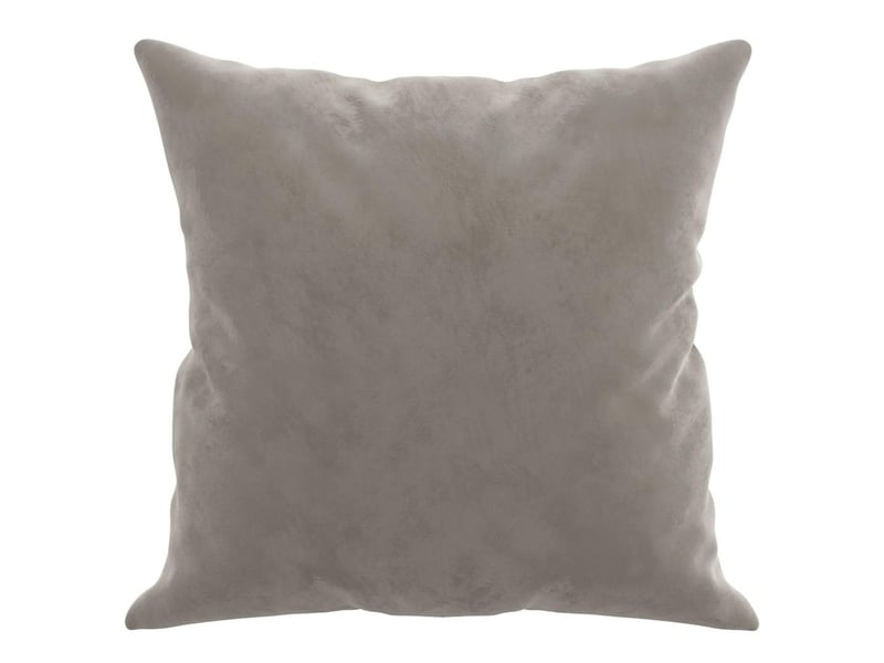  Lot de 2 coussins décoratifs gris clair 40x40 cm velours cf60865  - Conforama D