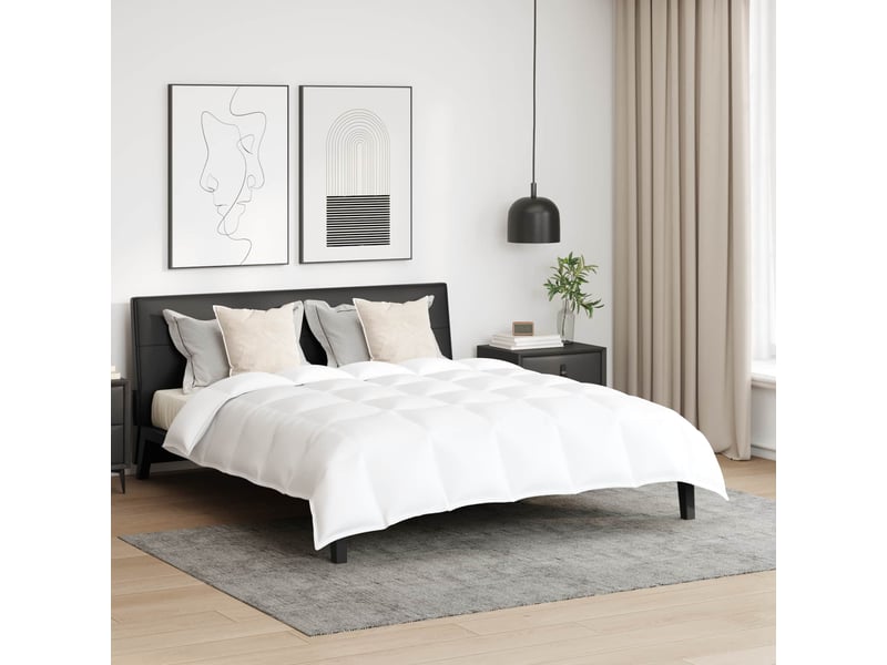  Ensemble de duvet avec oreiller 3 pièces - couette blanc plume de canard  - Conforama B