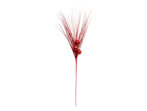 Bch rouge disco h74
