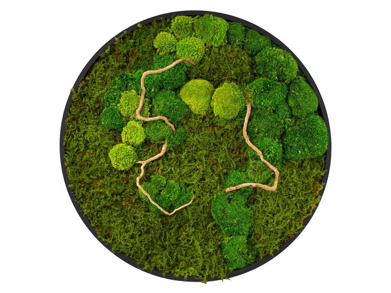 Ecd germany tableau végétal mural, mélange de mousses stabilisées et de branches, cadre en mdf rond ø 60 cm, vert, décoration d'intérieur véritable effet 3d, sans arrosage ni entretien, pièce unique ECD Germany GmbH - Conforama A