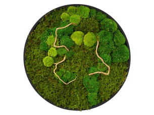 Ecd germany tableau végétal mural, mélange de mousses stabilisées et de branches, cadre en mdf rond ø 60 cm, vert, décoration d'intérieur véritable effet 3d, sans arrosage ni entretien, pièce unique