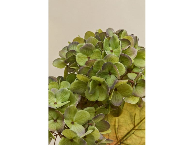  Pack de 2 fleurs décoratives aurivel sklum vert  - Conforama C