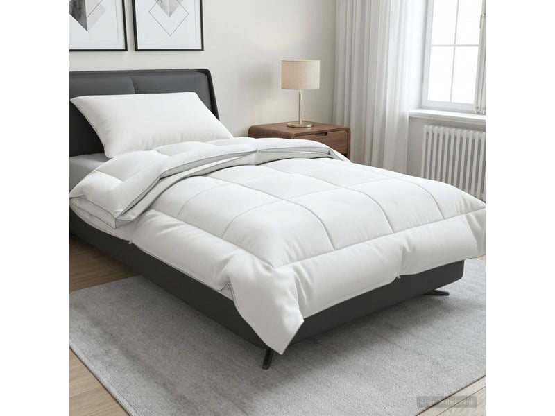  Ensemble de couette et d'oreiller 2 pcs - duvet 140x200 cm 4 saisons  - Conforama B