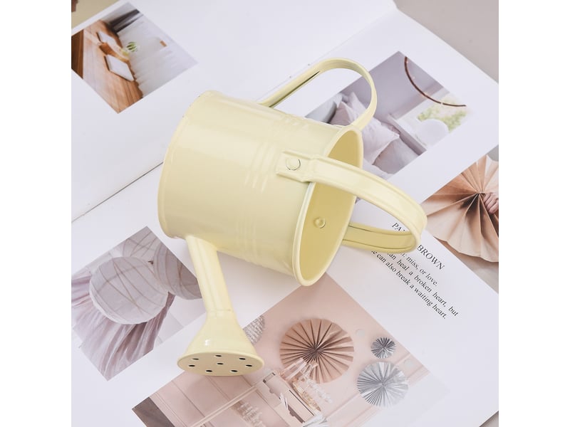  Mini boîte d'arrosage en métal, beige, portable avec poignée, pulvérisateur de jardin  - Conforama D