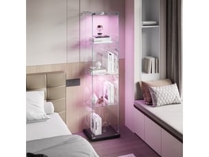 Vitrine coloris noir <strong></strong> <strong></strong> - x