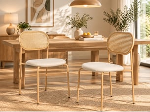 Lot de 2 chaises de salle à manger en rotin, chaise bistrot avec dossier en rotin et pu siège rembourré et 4 pieds reglables