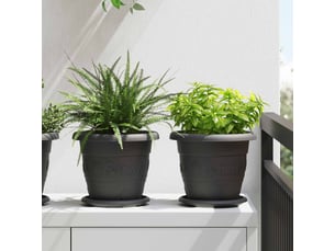 Jardinière - pots de plantes 6 pcs noir ø 22 x 18 cm plastique