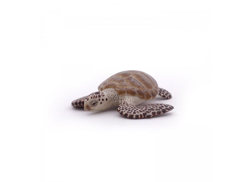 56005 tortue caouanne figurine 56005 - Conforama C