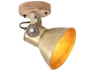 Lampe murale, applique murale industriellede plafond 2 pcs laiton 20x25 cm e27